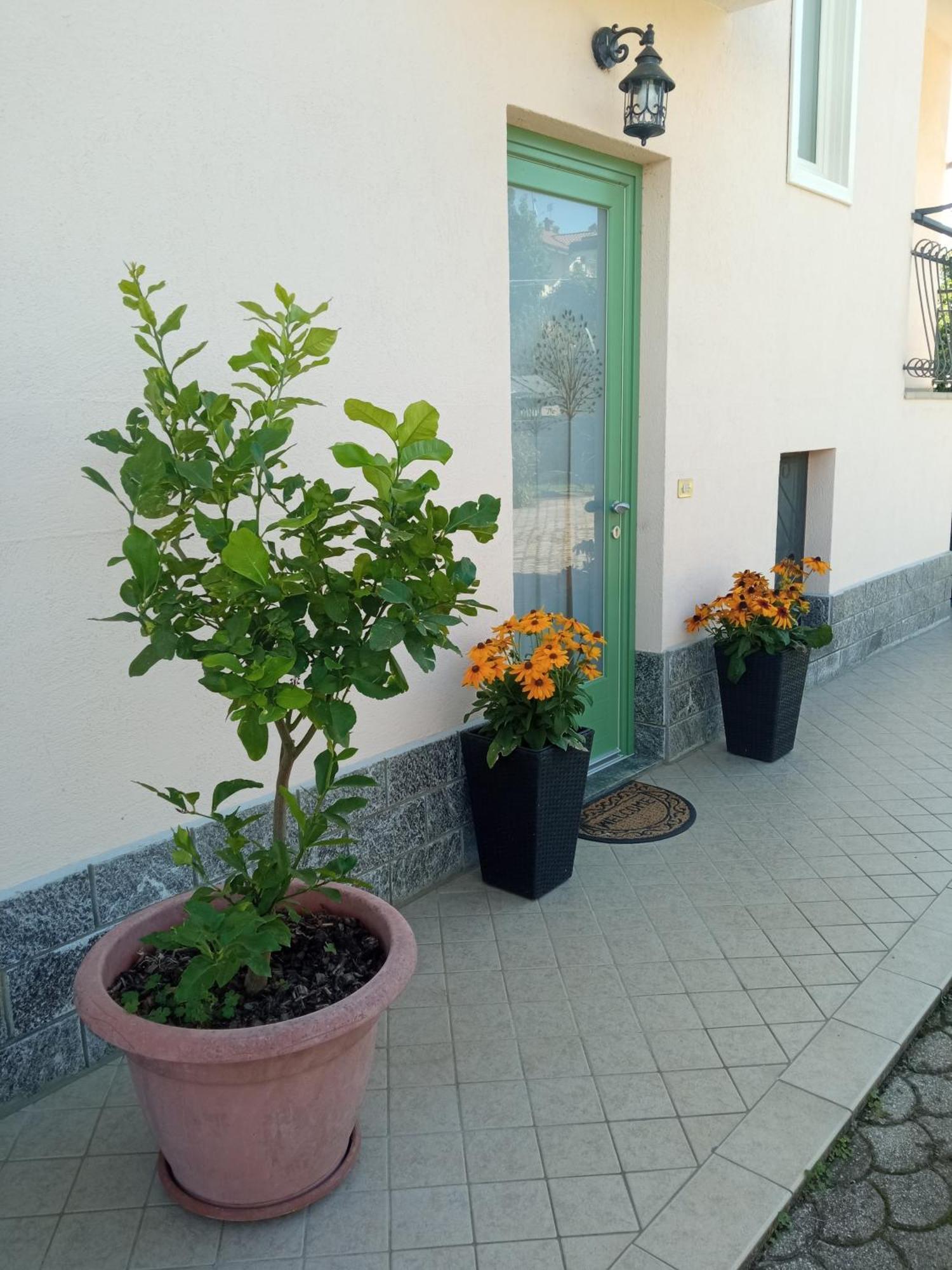 B&B L'Ortensia Vignolo Exterior foto