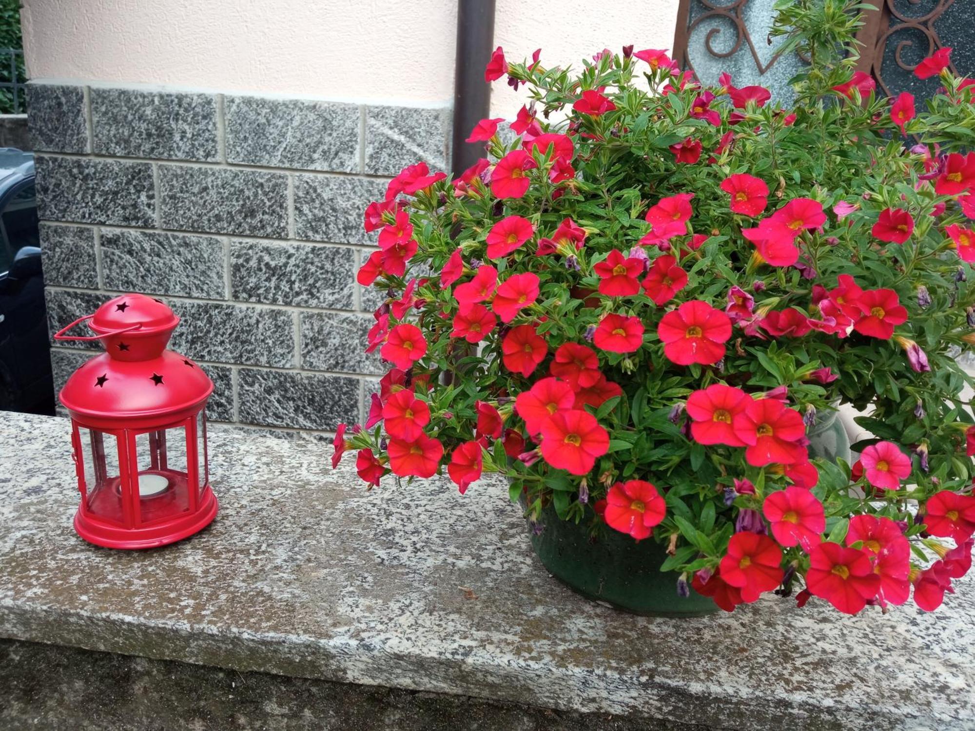 B&B L'Ortensia Vignolo Exterior foto